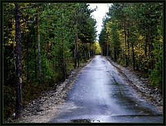 фото "Дорога..."
