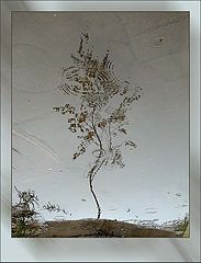 photo "Under music of a rain"