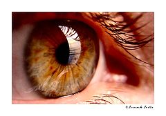 photo "For your eyes only"