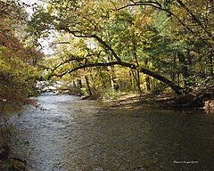 photo "End of the Colors"