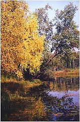 фото "У реки"