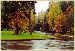 photo "Autumn 2000"