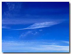 photo "Feather Pegasa"