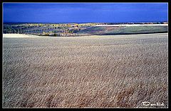 photo "Prered thunderstorm"