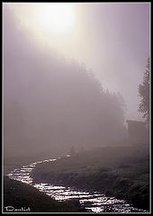 photo "Lilac mist 2"