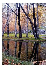 фото ""Cores de Outono""