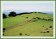 photo "The green hills of the Middle Earth"
