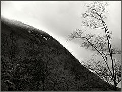 photo "tremble"