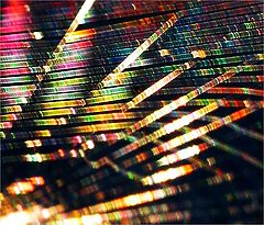 фото "Sunshine thrue Spiderweb"