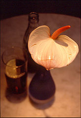 фото "A Flower & a Coke"