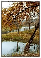 фото "Грустная осень"