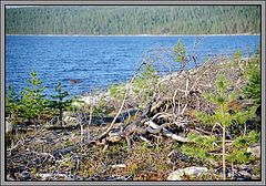 photo "Karelian beach"