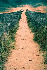 photo "come this way..."
