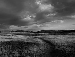 фото "Skyland Meadows 2"