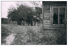 photo "From the past"