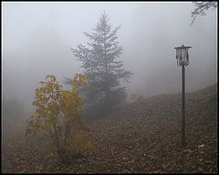 фото "Fog"