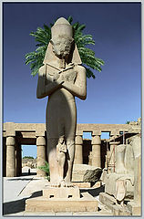 photo "Egyptian peacock :)))"