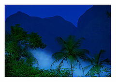 photo "Vision nocturne"