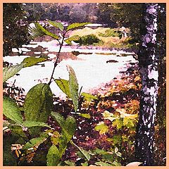 album "Misc."