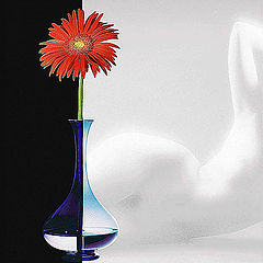 photo "Chess light with Gerbera"