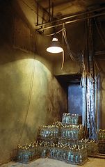 photo "batl"