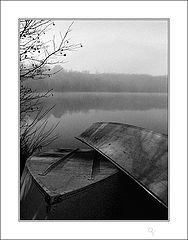 photo "about friendship (1)"