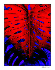 фото "Emotions of The Soul"