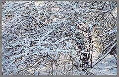 фото "Зима"