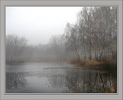 photo "Loneliness"