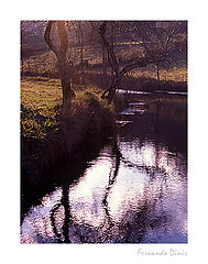 photo "Winter Sun"