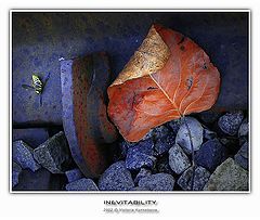 photo "Inevitability"