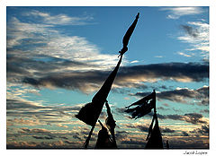 photo "the wind is blowing"