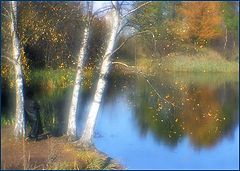 photo "Birches at a pond"