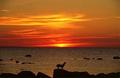 photo "Untitled photo"