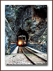 фото "The train"