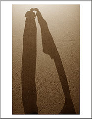 photo "Kissing shadows"