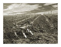 фото "The Plough"