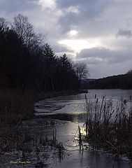 photo "Good Morning World"