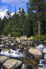 фото "River"