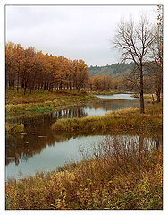 фото "Осенние зарисовки #11"