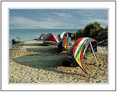 photo "I found my Friends. They are resting."