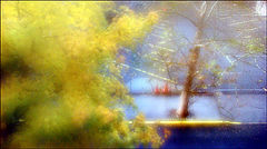 photo "breath"