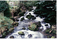 фото "Picos, again..."