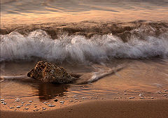 фото "By the shore..."