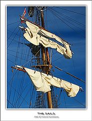 photo "The sails"