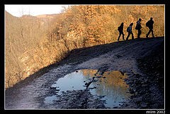 photo "My colors, my friends"