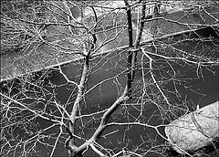 photo "stroke"