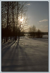 фото "Зимнее солнышко"