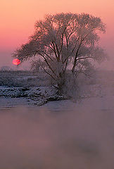 photo "Winter River Breath"