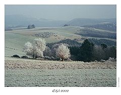 photo "eifel 2002"